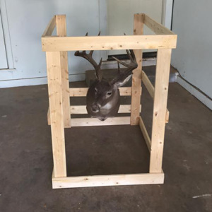Little Guys Movers handles specialty items with care, including building a custom crate for your fragile taxidermy or trophy mounts.