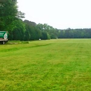 Wherever your move takes you, Little Guys is up for the adventure.