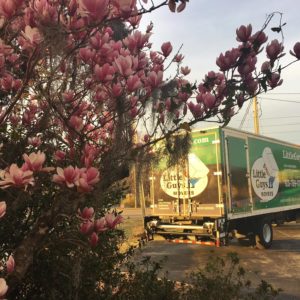 Spring is obviously the most beautiful time of the year to move.