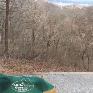 The life of a Little Guy is anything but ordinary, but we live for the adventure.