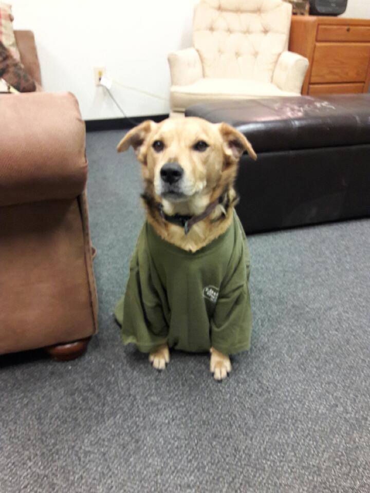 This guy wants to let you know that we’re hiring! Our search of Little Guys continues.