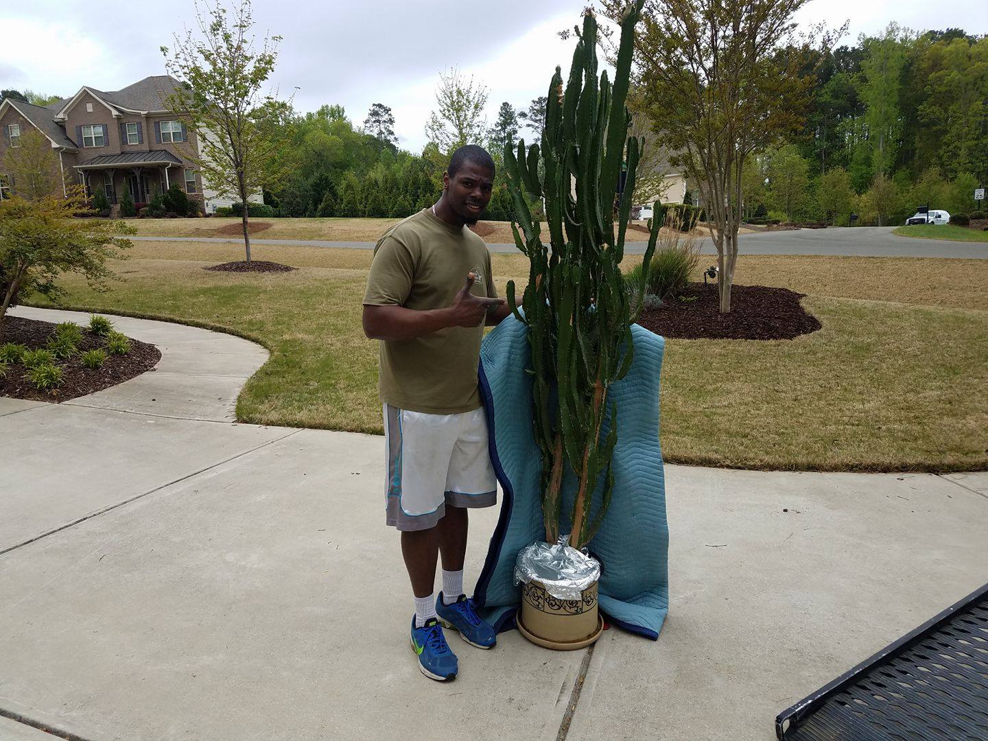 raleigh moving man with plant