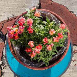 Don’t throw away those moving supplies! Little Guys Movers has a little advice on how to turn bubble wrap and boxes into handy gardening materials.